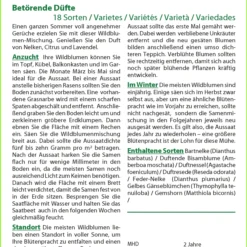 Bestseller -Angebote Pflanzen Glanz Store 535699 Blumenwiese Betoerende Duefte 18157 sa 1