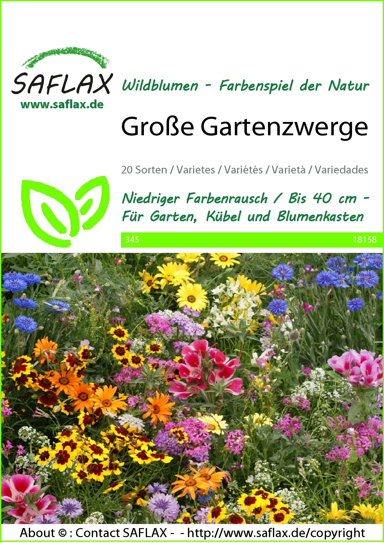 Blumenwiese Große Gartenzwerge | Wildblumenwiese Von Saflax 1 Blumenwiese Große Gartenzwerge | Wildblumenwiese Von Saflax