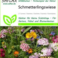 Blumenwiese Schmetterlingswiese | Schmetterlingswiese Von Saflax