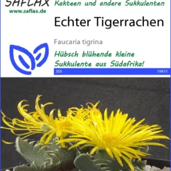 Kaktus Echter Tigerrachen | Kaktussamen Von Saflax
