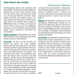 Säulenkaktus Alter Mann Der Anden | Kaktussamen Von Saflax