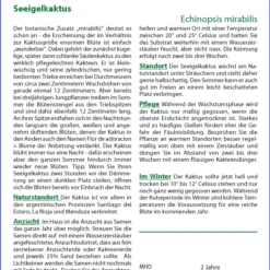 Angebote Pflanzen Glanz Store -Angebote Pflanzen Glanz Store 535712 Seeigelkaktus 19422 sa 1