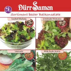 Balkonsalatsortiment | Salatsamen Von Dürr-Samen