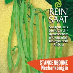 Stangenbohne Neckarkönigin | BIO Stangenbohnensamen Von Reinsaat