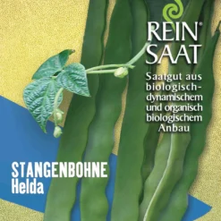 Stangenbohne Helda | BIO Stangenbohnensamen Von Reinsaat