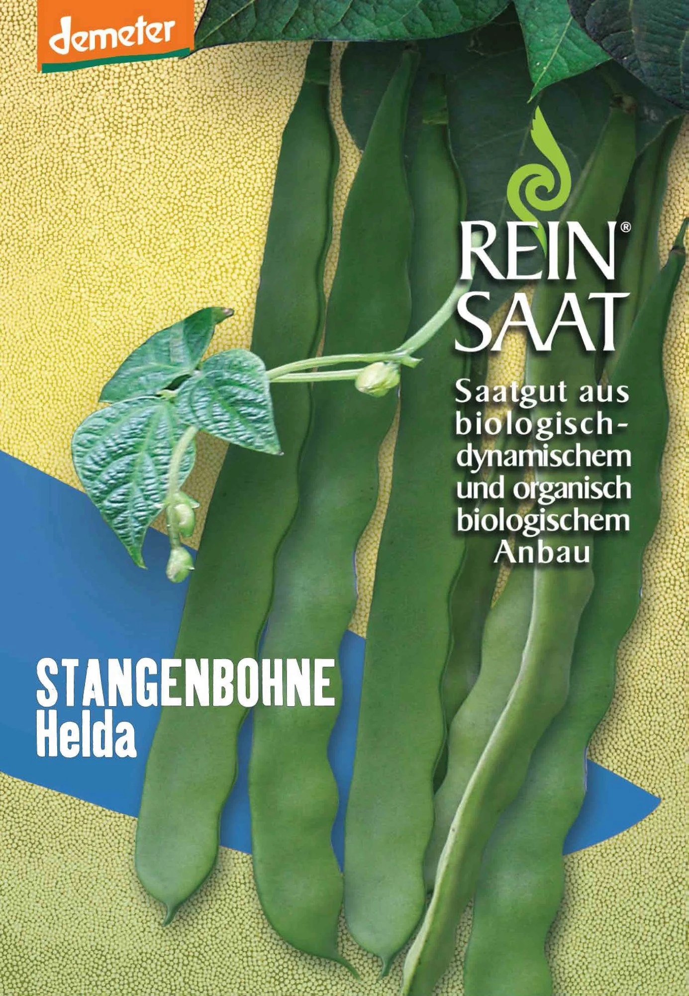 Stangenbohne Helda | BIO Stangenbohnensamen Von Reinsaat 1 Stangenbohne Helda | BIO Stangenbohnensamen Von Reinsaat