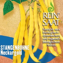 Stangenbohne Neckargold | BIO Stangenbohnensamen Von Reinsaat
