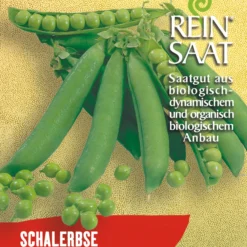 Schalerbse Kleine Rheinländerin | BIO Schalerbsensamen Von Reinsaat