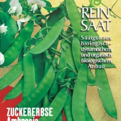 Zuckererbse Ambrosia | BIO Zuckererbsensamen Von Reinsaat