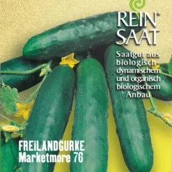 Feldgurke Marketmore 76 | BIO Freilandgurkensamen Von Reinsaat