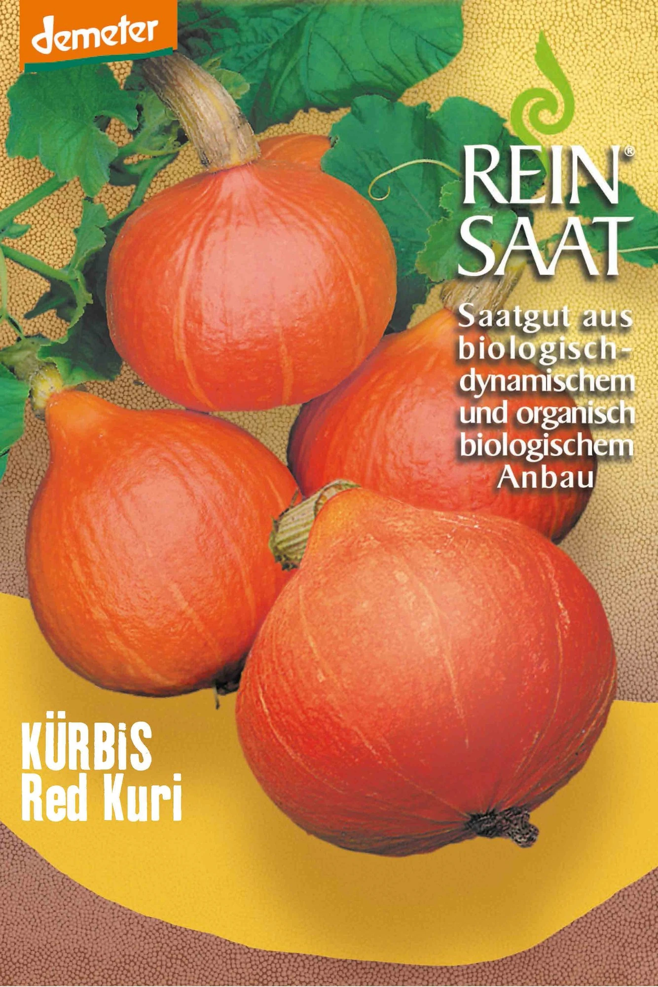 Kürbis Red Kuri | BIO Kürbissamen Von Reinsaat 1 Kürbis Red Kuri | BIO Kürbissamen Von Reinsaat