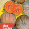 Kürbis Futsu Black | BIO Kürbissamen Von Reinsaat