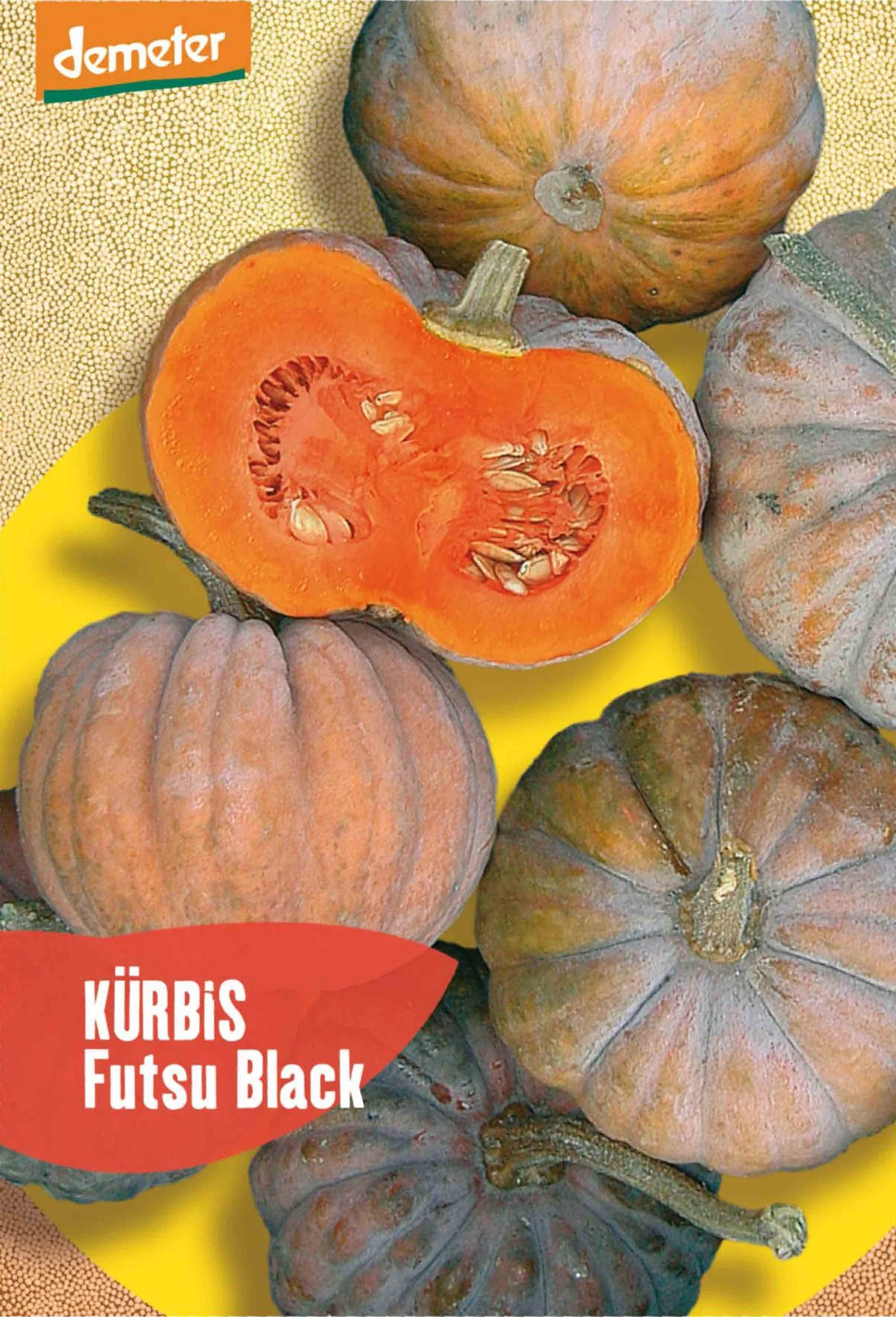 Kürbis Futsu Black | BIO Kürbissamen Von Reinsaat 1 Kürbis Futsu Black | BIO Kürbissamen Von Reinsaat