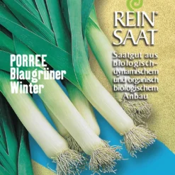 Porree Blaugrüner Winter | BIO Lauchsamen Von Reinsaat