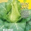 Weißkraut Filderkraut | BIO Weißkohlsamen Von Reinsaat