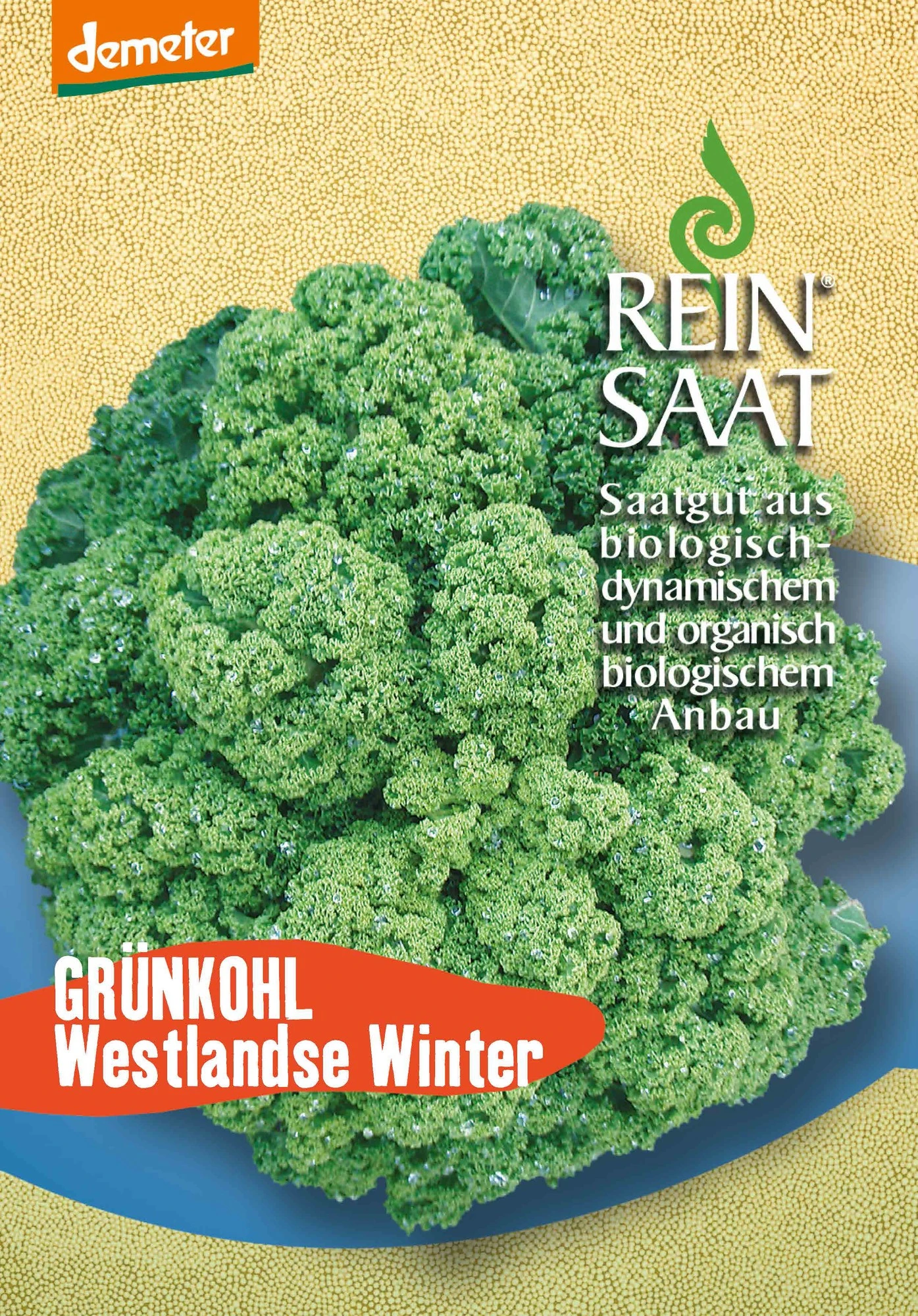 Grünkohl Westlandse Winter | BIO Grünkohlsamen Von Reinsaat 1 Grünkohl Westlandse Winter | BIO Grünkohlsamen Von Reinsaat