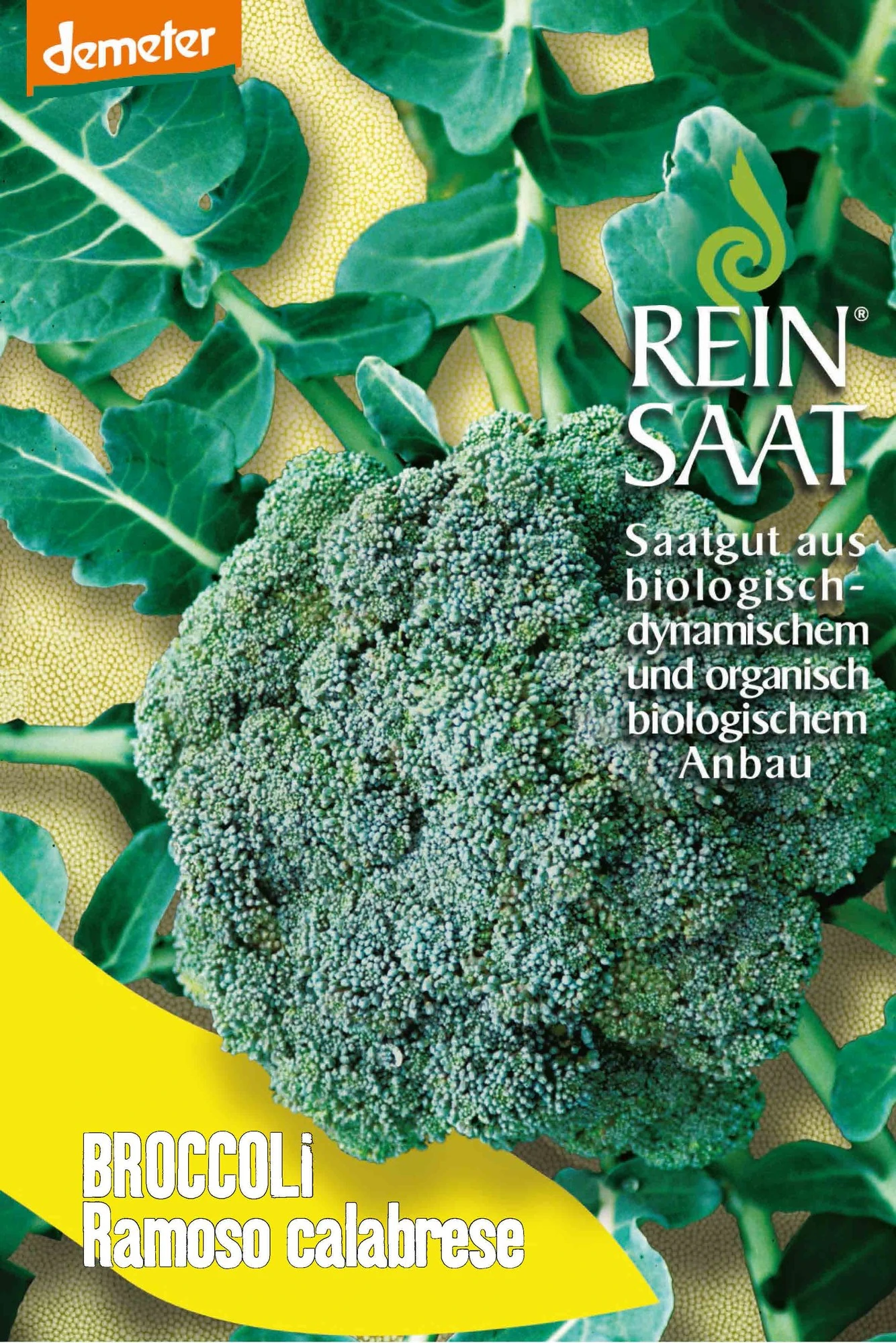 Broccoli Ramoso Calabrese | BIO Brokkolisamen Von Reinsaat 1 Broccoli Ramoso Calabrese | BIO Brokkolisamen Von Reinsaat