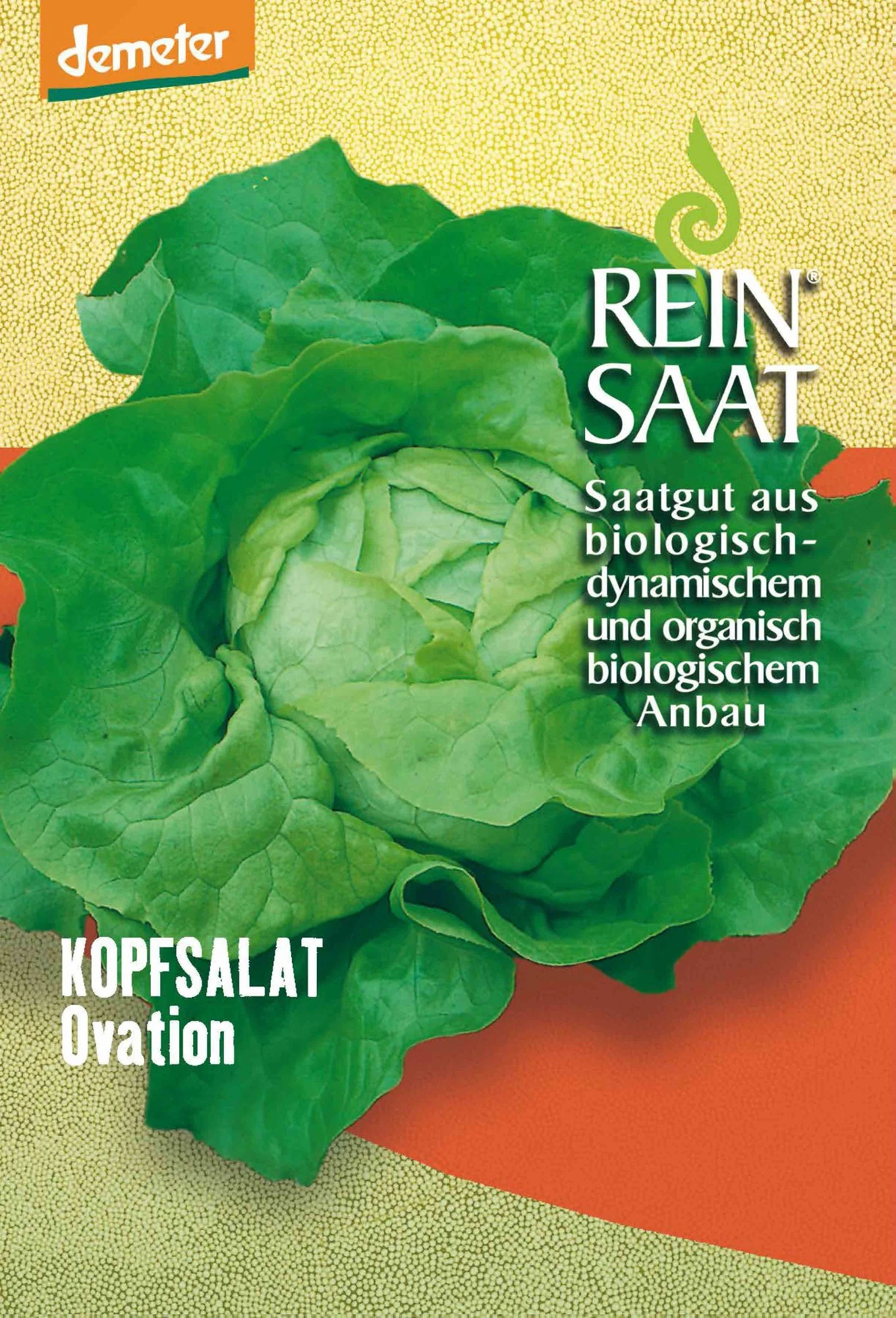 Kopfsalat Ovation | BIO Kopfsalatsamen Von Reinsaat 1 Kopfsalat Ovation | BIO Kopfsalatsamen Von Reinsaat