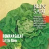 Romanasalat Little Gem | BIO Romanasalatsamen Von Reinsaat