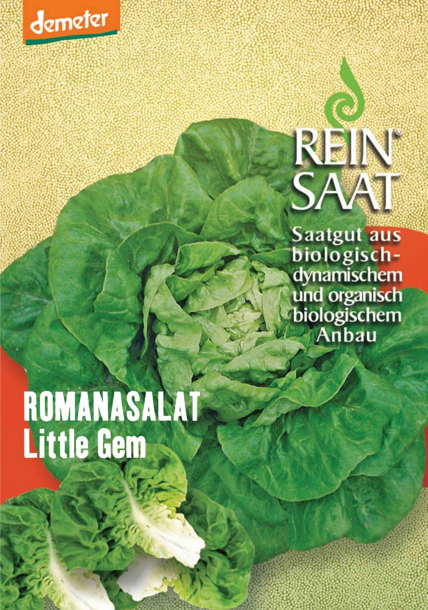 Romanasalat Little Gem | BIO Romanasalatsamen Von Reinsaat 1 Romanasalat Little Gem | BIO Romanasalatsamen Von Reinsaat