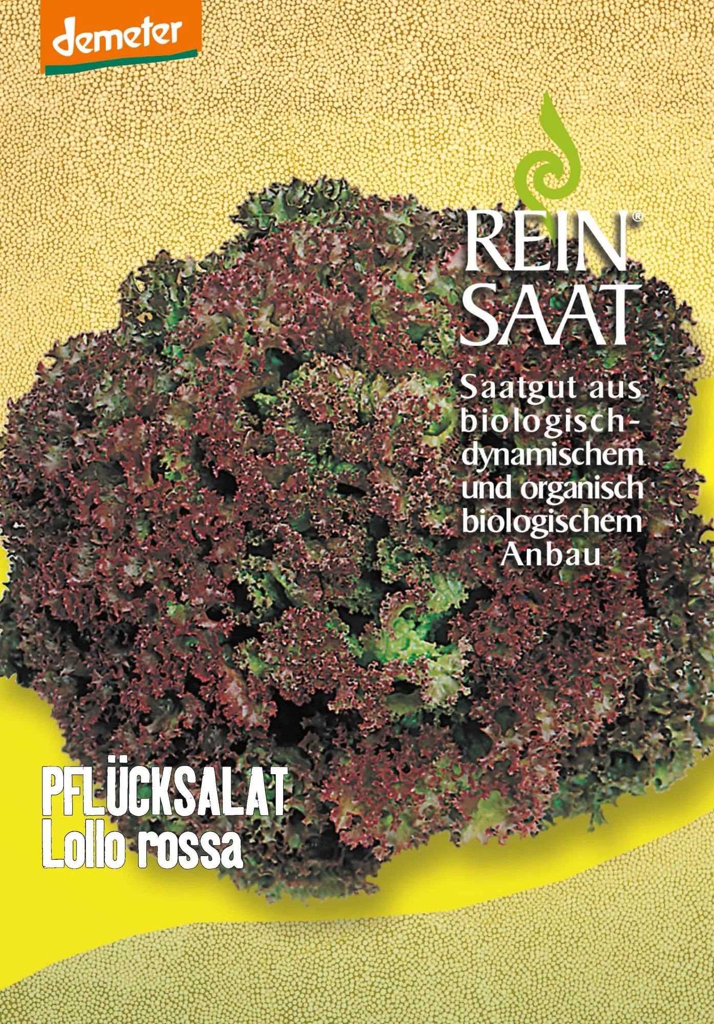 Pflücksalat Lollo Rossa | BIO Pflücksalatsamen Von Reinsaat 1 Pflücksalat Lollo Rossa | BIO Pflücksalatsamen Von Reinsaat