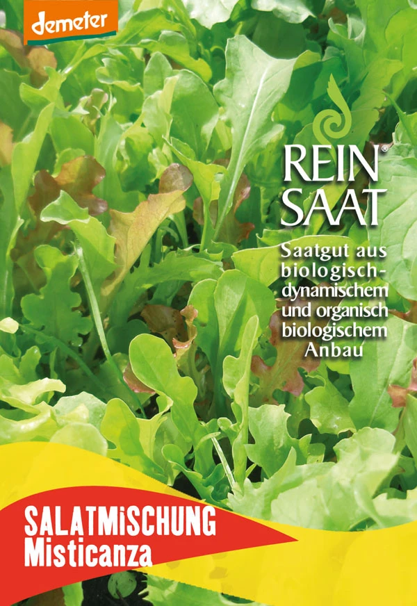 Salatmischung Misticanza | BIO Salatsamen Von Reinsaat 2 Salatmischung Misticanza | BIO Salatsamen Von Reinsaat – Bild 2