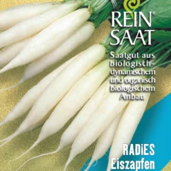 Radies Eiszapfen | BIO Radieschensamen Von Reinsaat