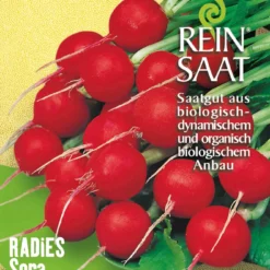 Radies Sora | BIO Radieschensamen Von Reinsaat