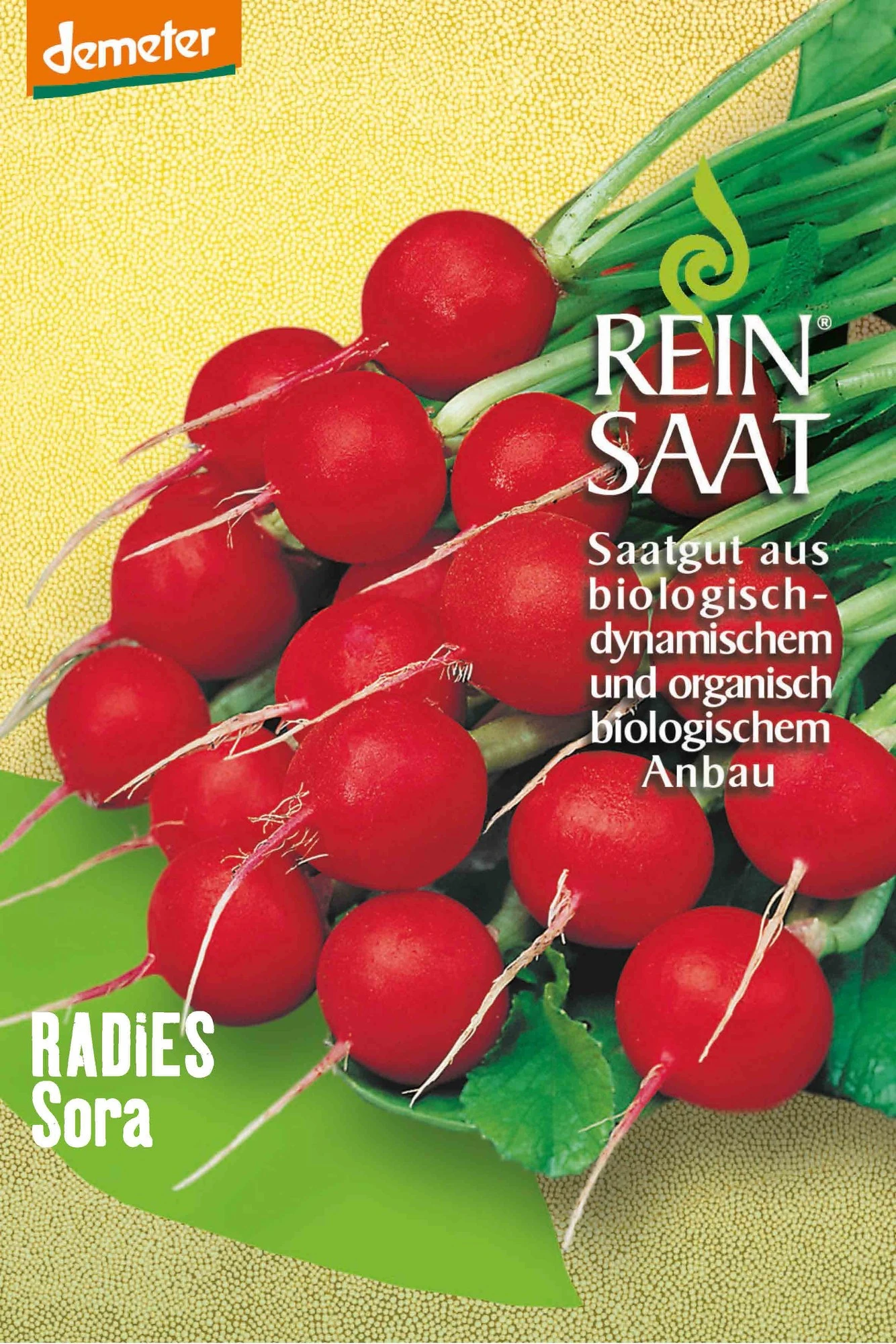 Radies Sora | BIO Radieschensamen Von Reinsaat 1 Radies Sora | BIO Radieschensamen Von Reinsaat