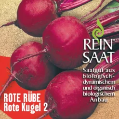 Rüben Rote Kugel 2 | BIO Rote Beetesamen Von Reinsaat