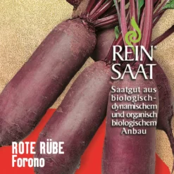 Rüben Forono | BIO Rübensamen Von Reinsaat