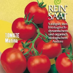 Salattomate Matina | BIO Stabtomatensamen Von Reinsaat