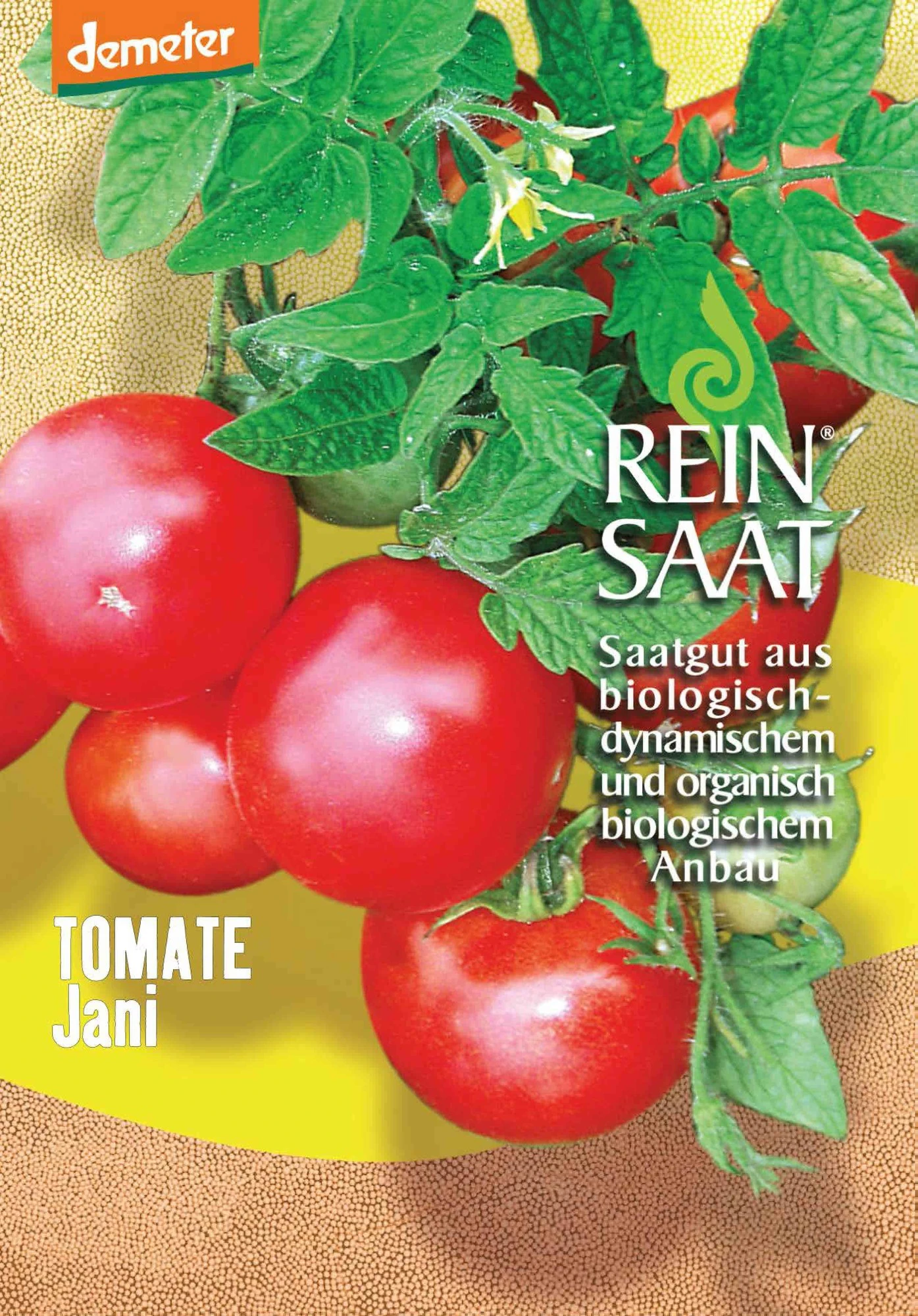 Salattomate Jani | BIO Buschtomatensamen Von Reinsaat 1 Salattomate Jani | BIO Buschtomatensamen Von Reinsaat