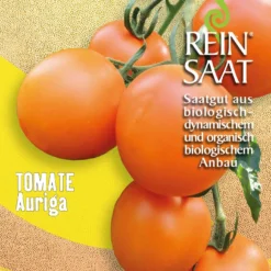 Salattomate Auriga | BIO Kirschtomatensamen Von Reinsaat
