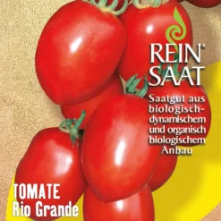 Saucentomate Rio Grande | BIO Fleischtomatensamen Von Reinsaat