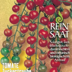 Cocktailtomate Zuckertraube | BIO Kirschtomatensamen Von Reinsaat