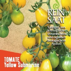 Cocktailtomate Yellow Submarine | BIO Kirschtomatensamen Von Reinsaat