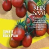 Cocktailtomate Black Plum | BIO Kirschtomatensamen Von Reinsaat