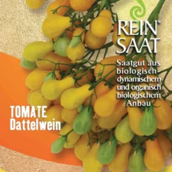 Cocktailtomate Dattelwein | BIO Kirschtomatensamen Von Reinsaat