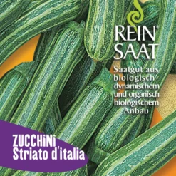 Zucchini Striato D'Italia, Grün, Gestreift, Länglich | BIO Zucchinisamen Von Reinsaat