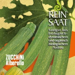 Zucchini Alberello | BIO Zucchinisamen Von Reinsaat