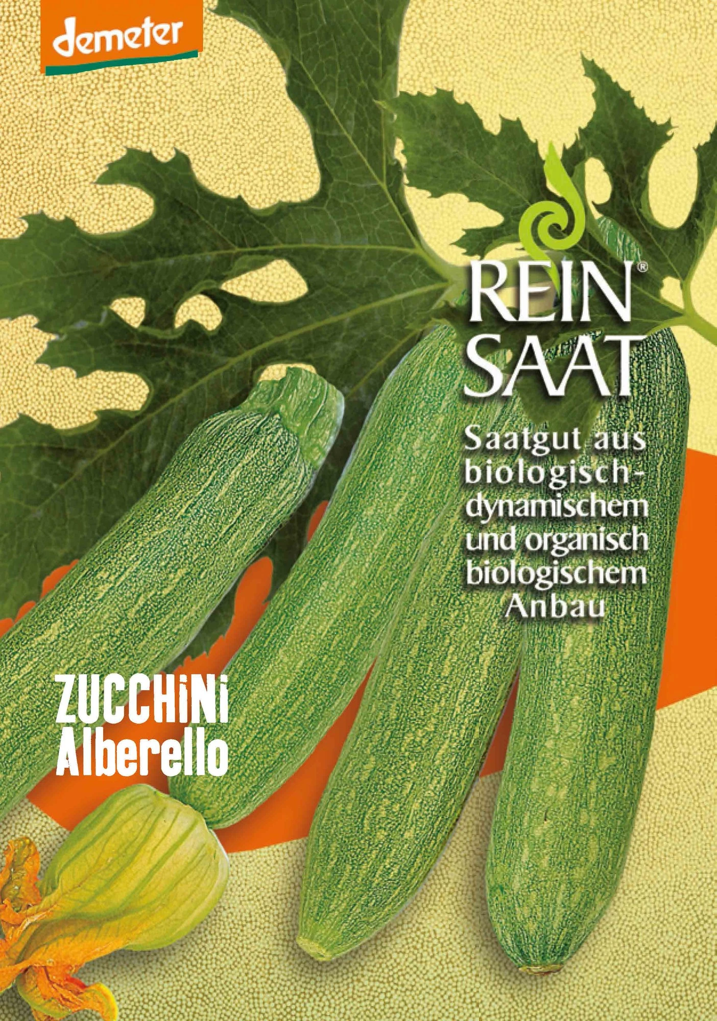 Zucchini Alberello | BIO Zucchinisamen Von Reinsaat 1 Zucchini Alberello | BIO Zucchinisamen Von Reinsaat