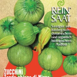 Zucchini Tondo Chiaro Die Nizza | BIO Zucchinisamen Von Reinsaat