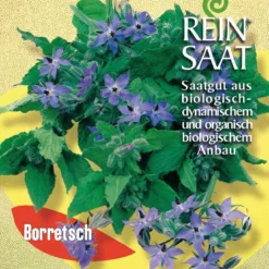 Borretsch | BIO Borretschsamen Von Reinsaat