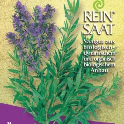 Ysop | BIO Kräutersamen Von Reinsaat