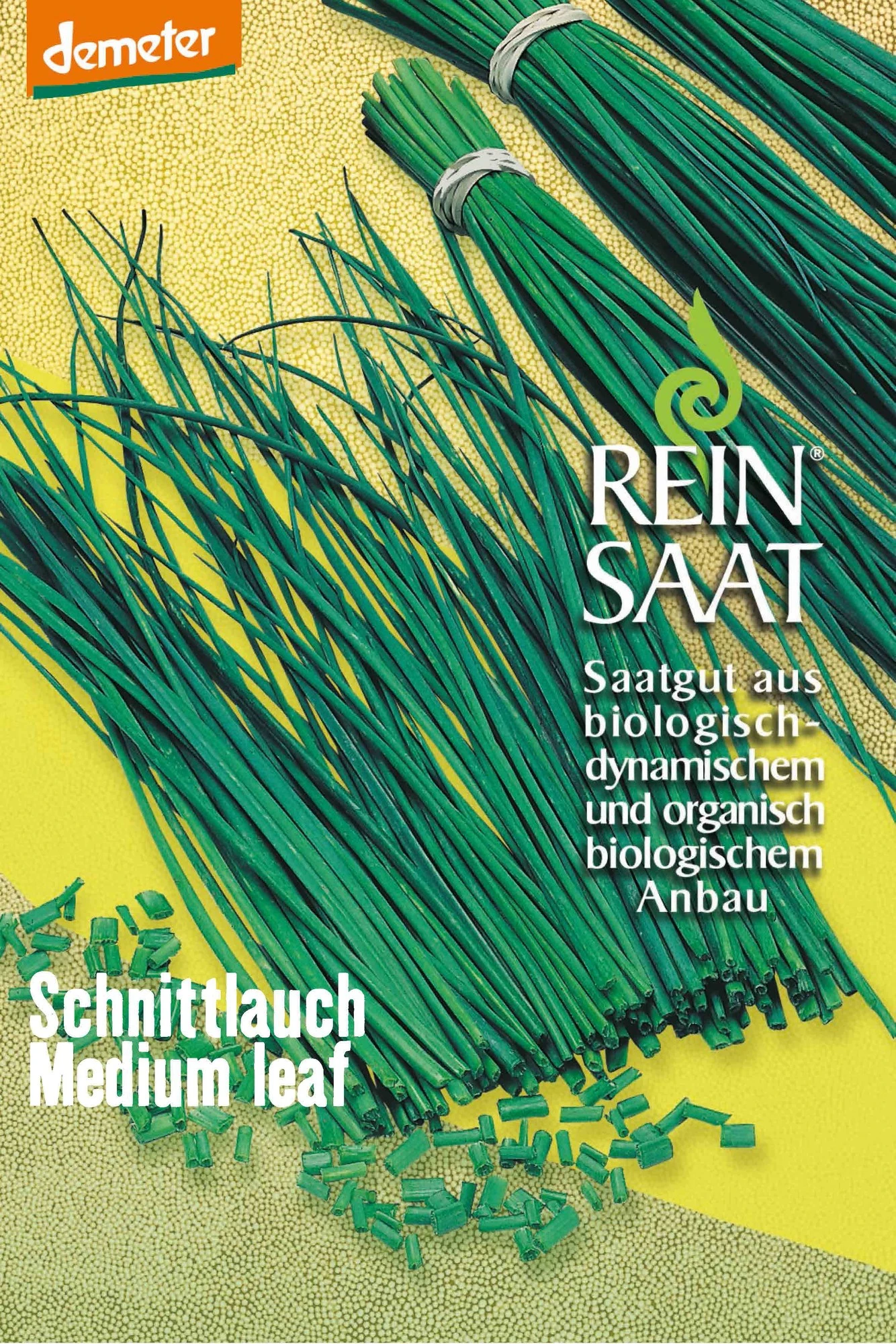Schnittlauch Medium Leaf | BIO Schnittlauchsamen Von Reinsaat 1 Schnittlauch Medium Leaf | BIO Schnittlauchsamen Von Reinsaat