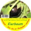 Eierbaum | Anzuchtsets Von Saflax