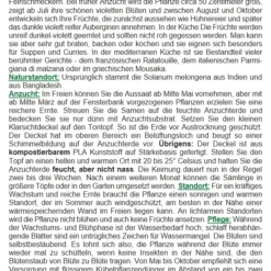 Eierbaum | Anzuchtsets Von Saflax -Angebote Pflanzen Glanz Store 536695 Eierbaum 19228 sa 2