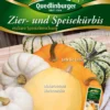 Essbare Zier- &amp; Speisekürbis | Zierkürbissamen Von Quedlinburger