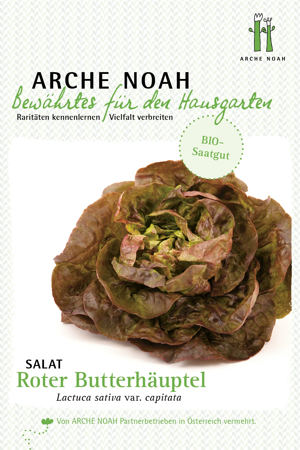 Kopfsalat Roter Butterhäuptl | BIO Kopfsalatsamen Von Arche Noah 1 Kopfsalat Roter Butterhäuptl | BIO Kopfsalatsamen Von Arche Noah